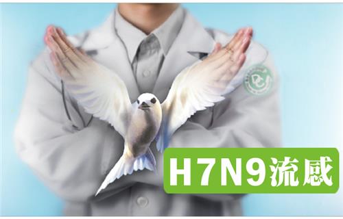H7N9流感防治資訊