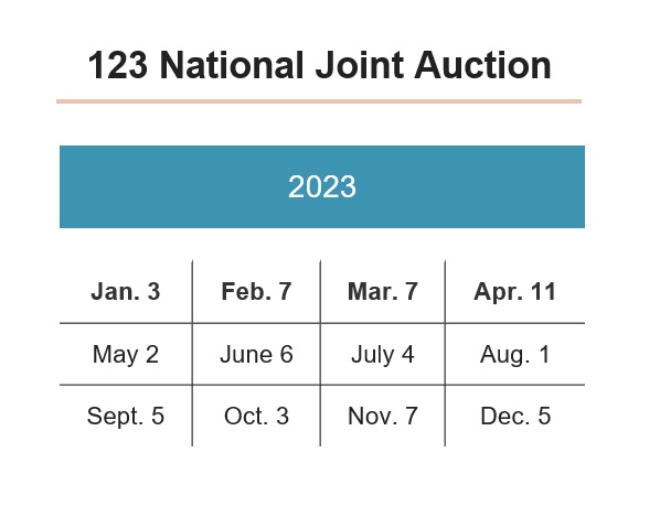 123 National Joint Auction