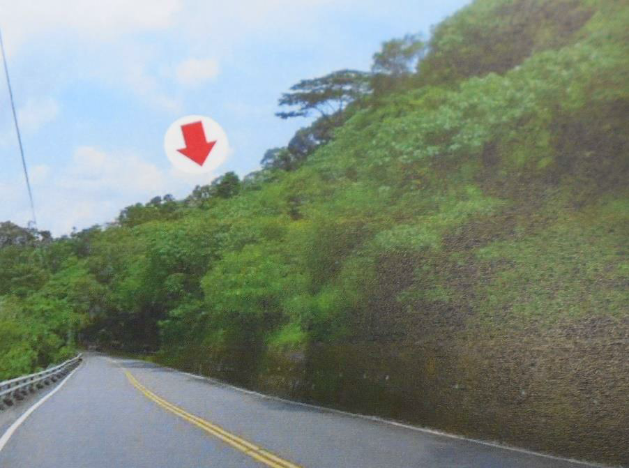 屏東執行分署112 年 2 月7日法拍座落三地門、泰武與獅子鄉的原住民保留地