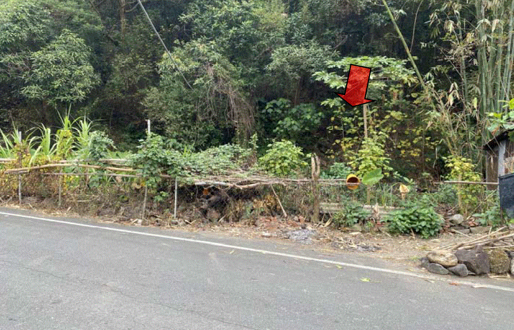屏東執行分署5 月 3 日 123 全國聯拍日，以 4000 元順利拍出一筆原住民保留地持分