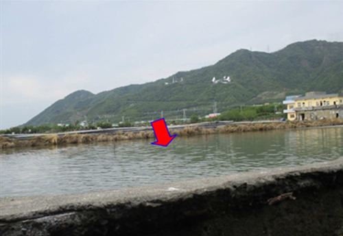 屏東執行分署8月6日法拍枋山2甲4分魚塭，臨省道台1線，總價5423萬元