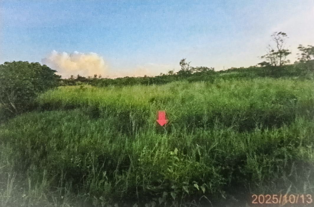 拍賣標的位於恆春鎮之一筆完整農地_0 拷貝_0